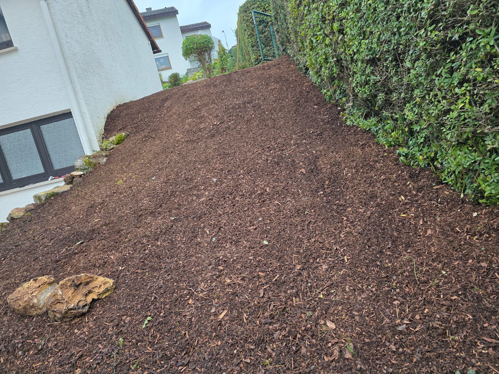 Garden photo 13